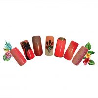 Σεμινάριο Ombre Nails Σεμινάριο Ombre Nails