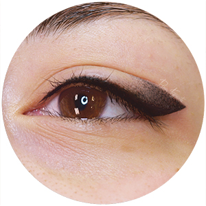 OMBRE EYELINER